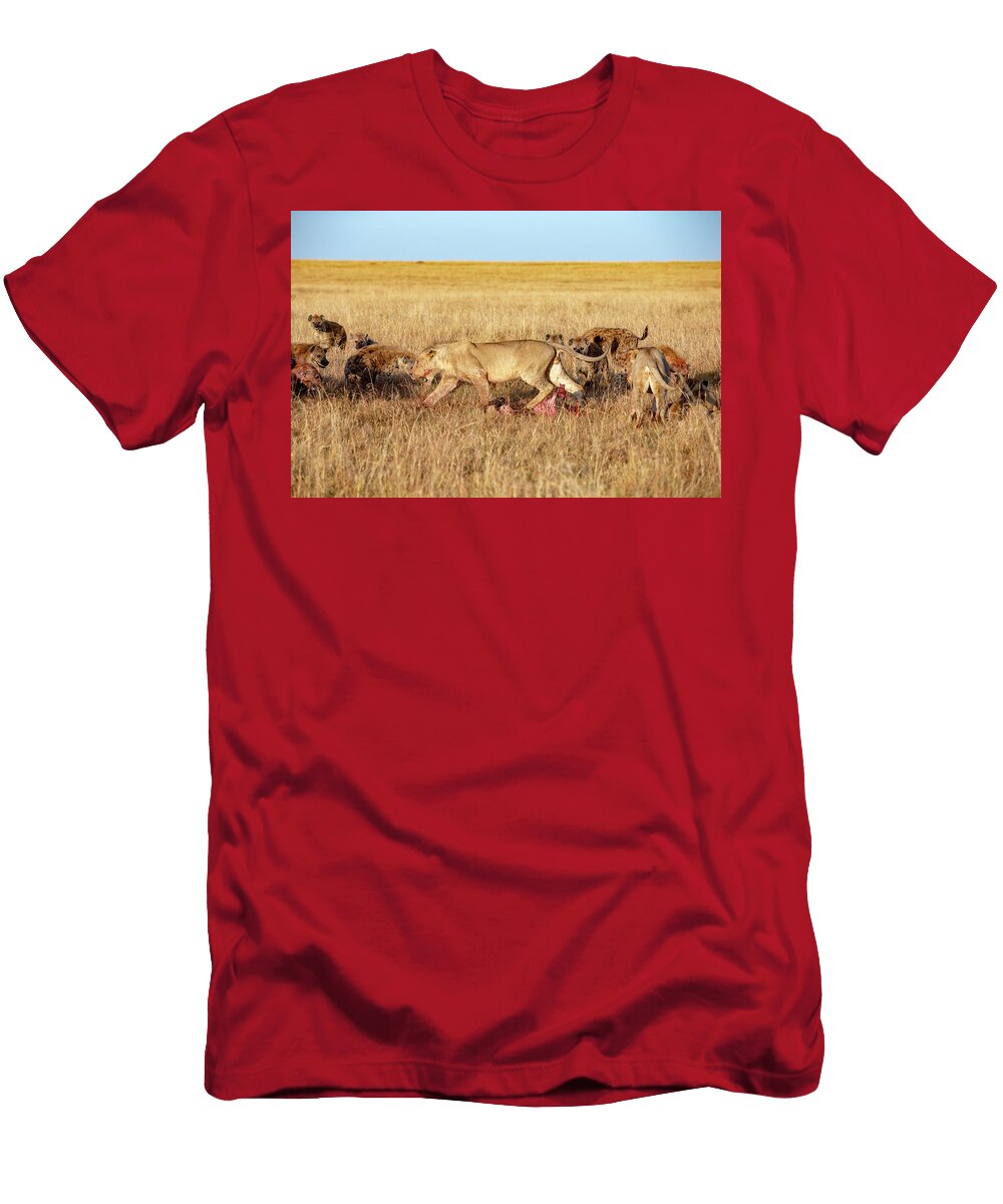 1 Lion in Conflict with a Group of Spotted Hyenas on a Kill Denis Huot Natureplcom T-Shirt
