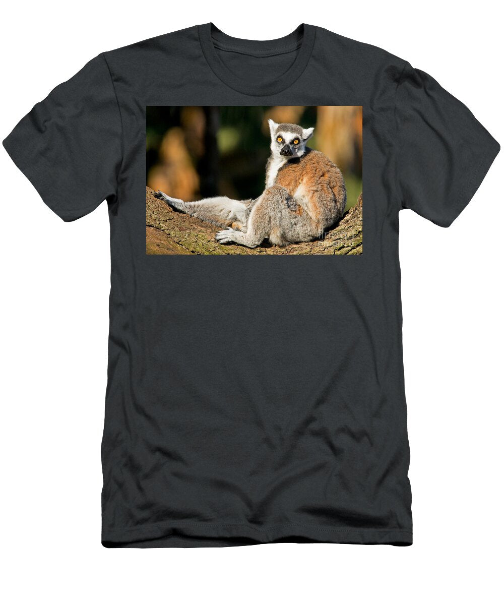10 Ring Tailed Lemur Millard H Sharp T-Shirt