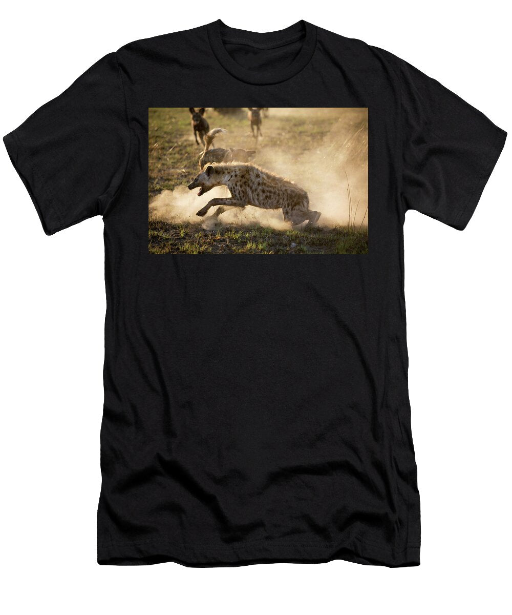 African Hunting Dogs Pack Mobbing a Spotted Hyena Hyenas Huw Cordey Natureplcom T-Shirt