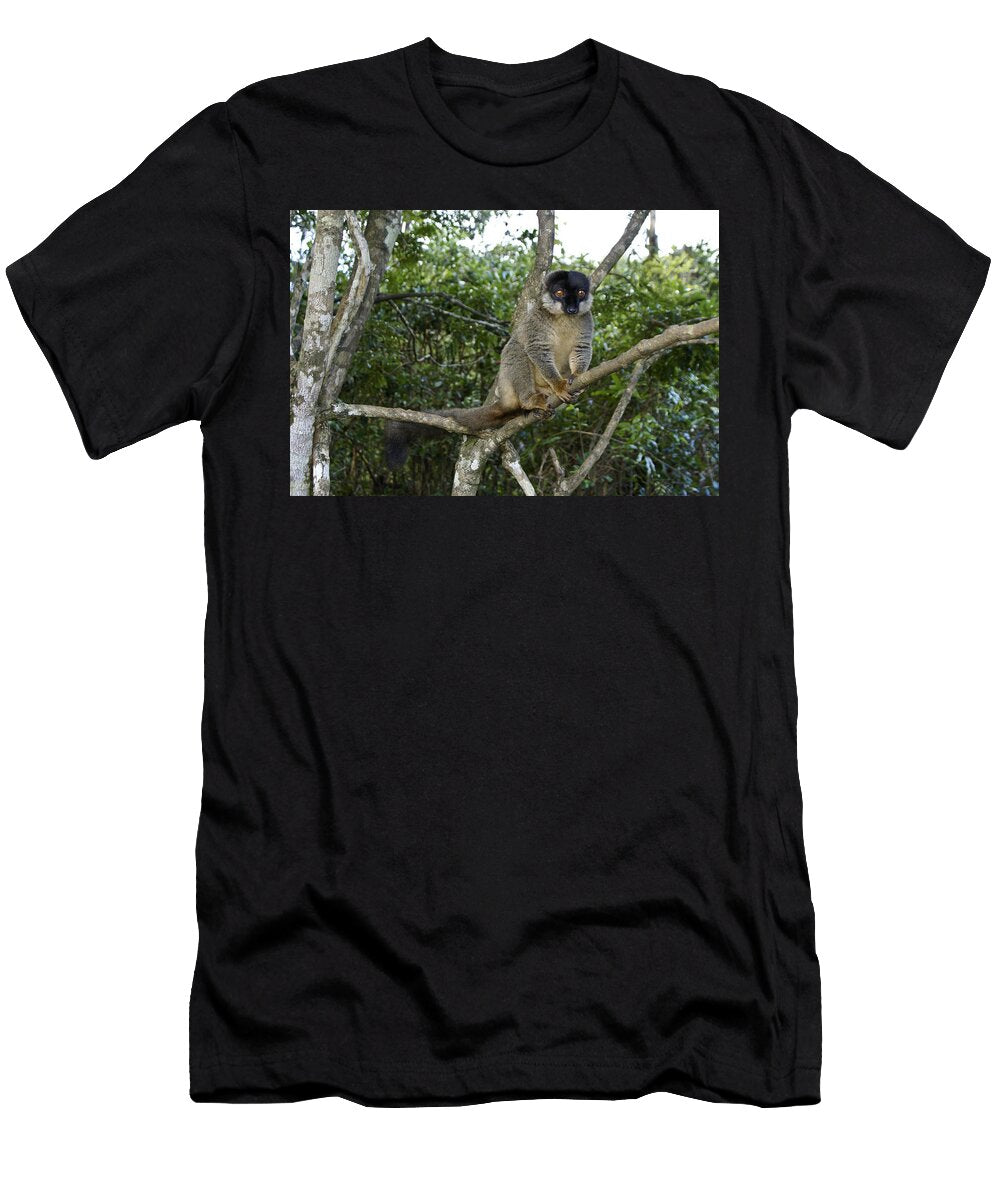Brown Lemur Michele Burgess T-Shirt