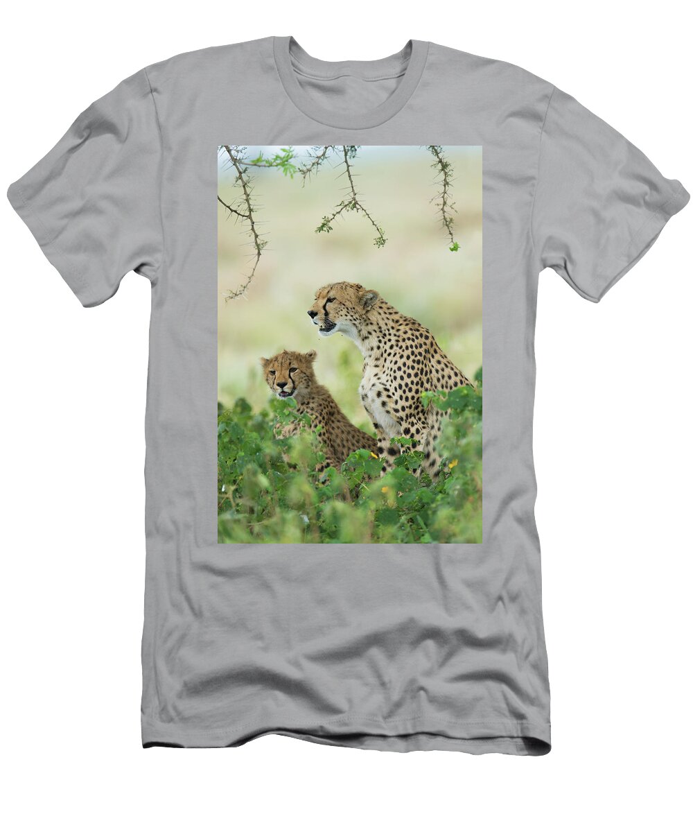 Cheetah Acinonyx Jubatus Family Ndutu Animal Images T-Shirt