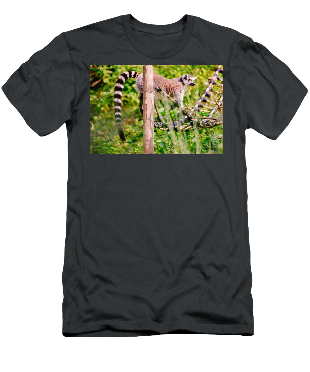 Climbing Lemur Patrycja Polechonska T-Shirt