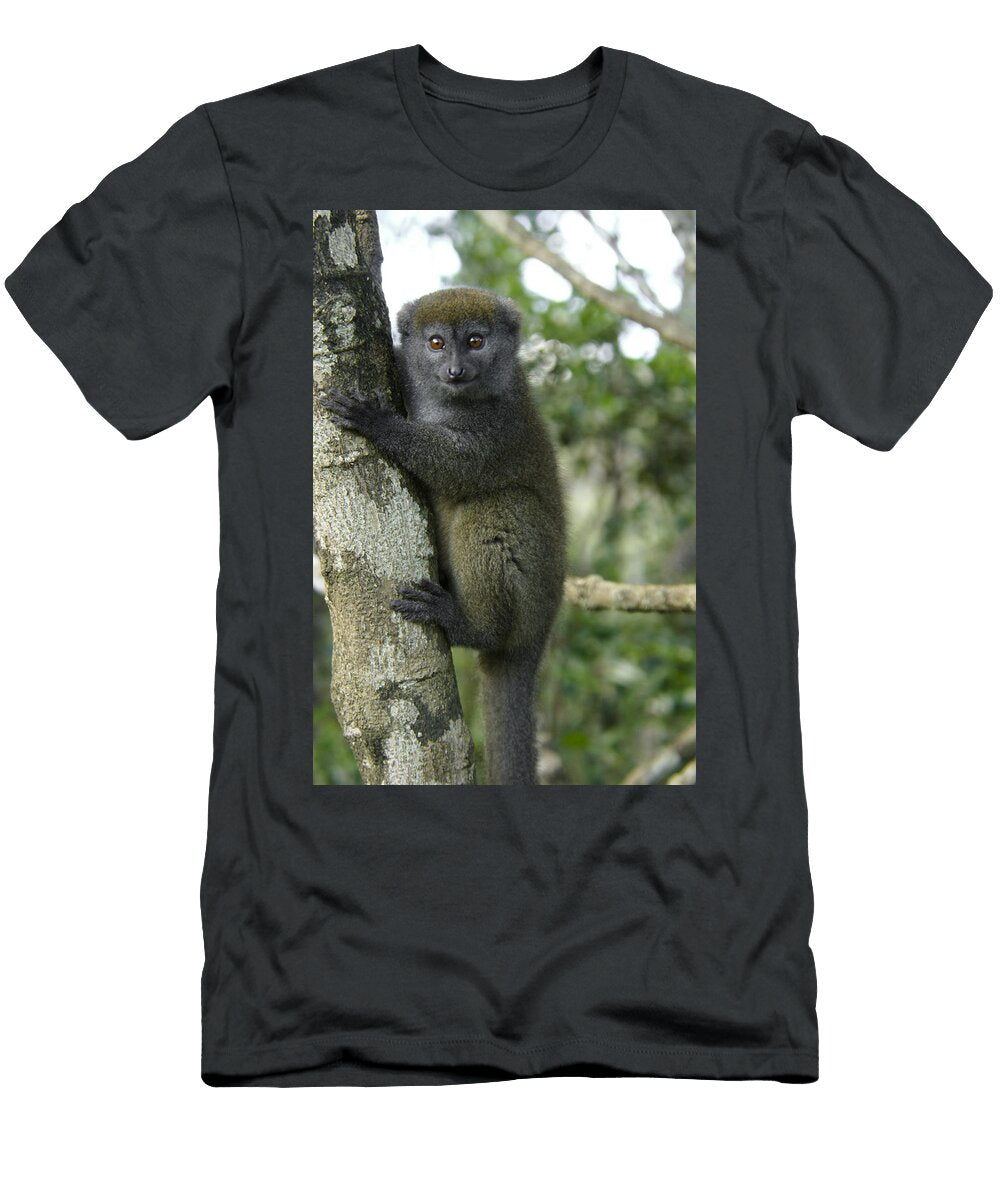 Gray Bamboo Lemur Michele Burgess T-Shirt