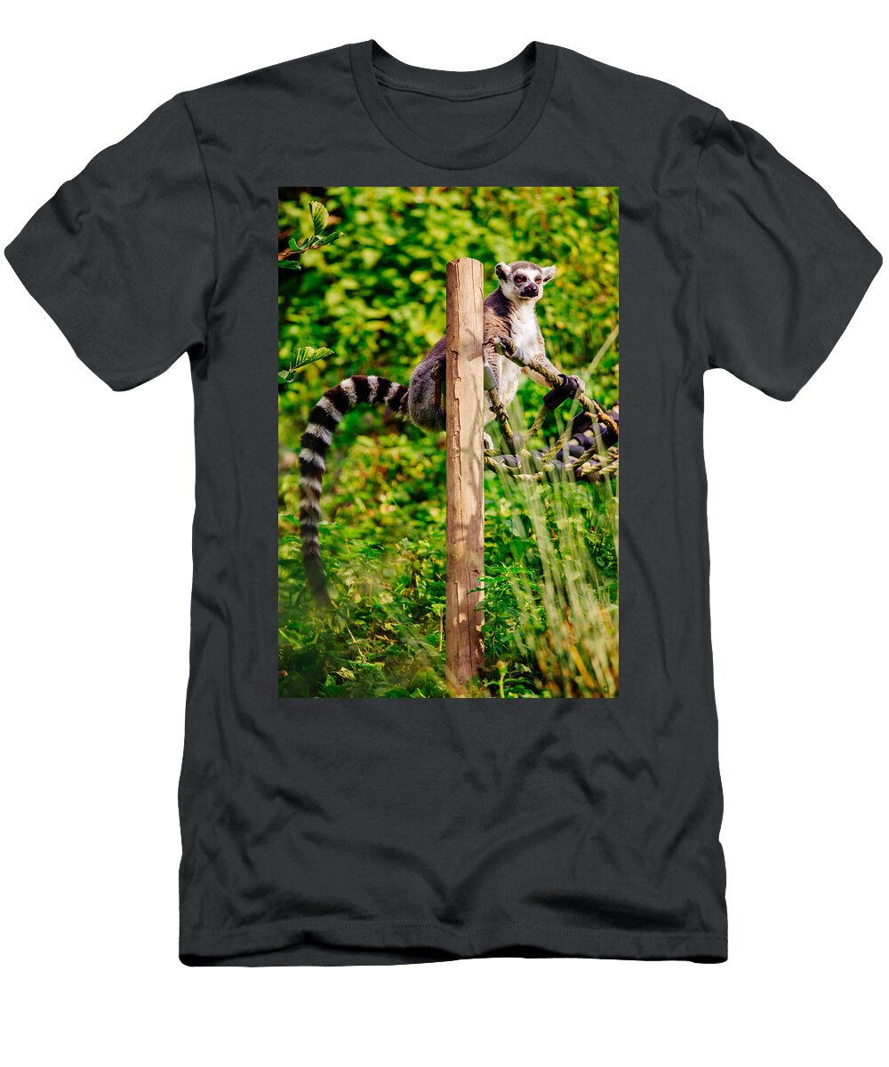 Lemur in the Green Patrycja Polechonska T-Shirt