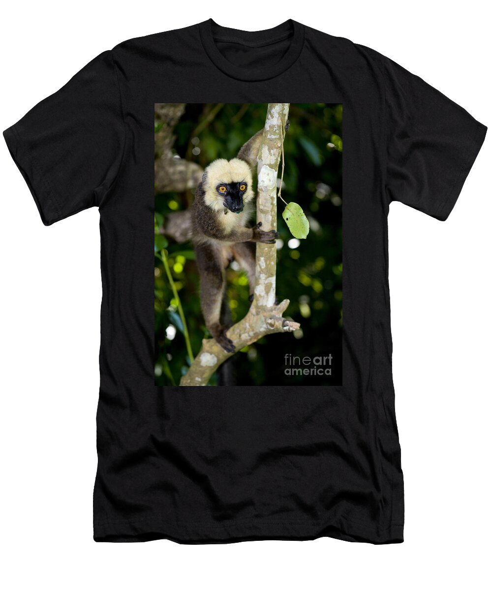 White Headed Lemur Tony Camacho T-Shirt